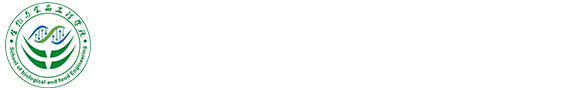 2025世俱杯官方用球